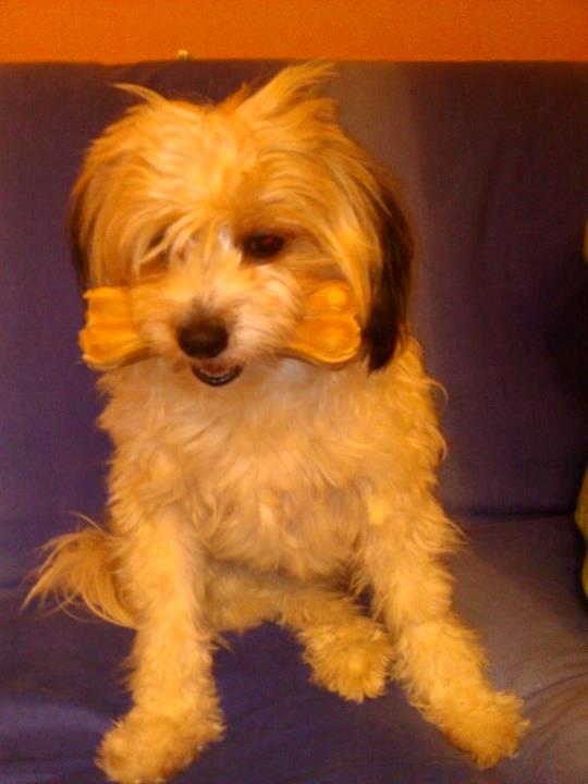 MARGOT (1) - 31/03/2012